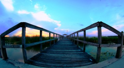 Looking out the walkway at Newton Park